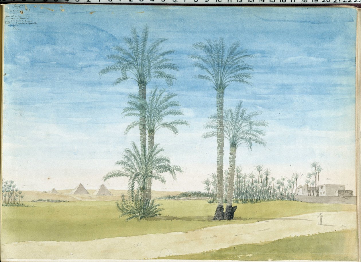 Pyramids of Giza by Pascal Xavier (after) Coste