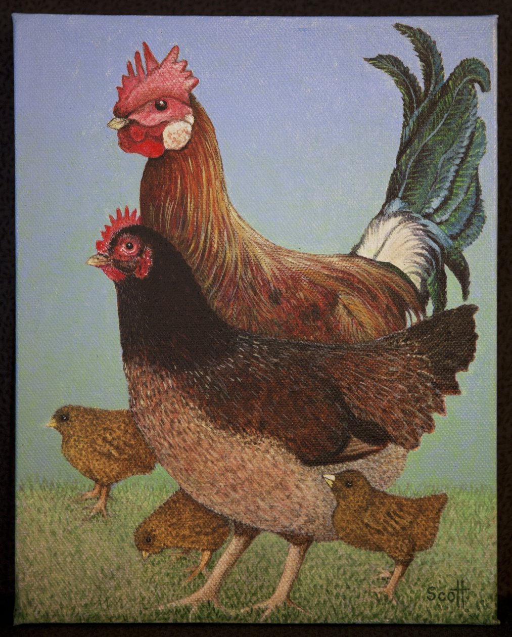 Chicken Family by Pat Scott
