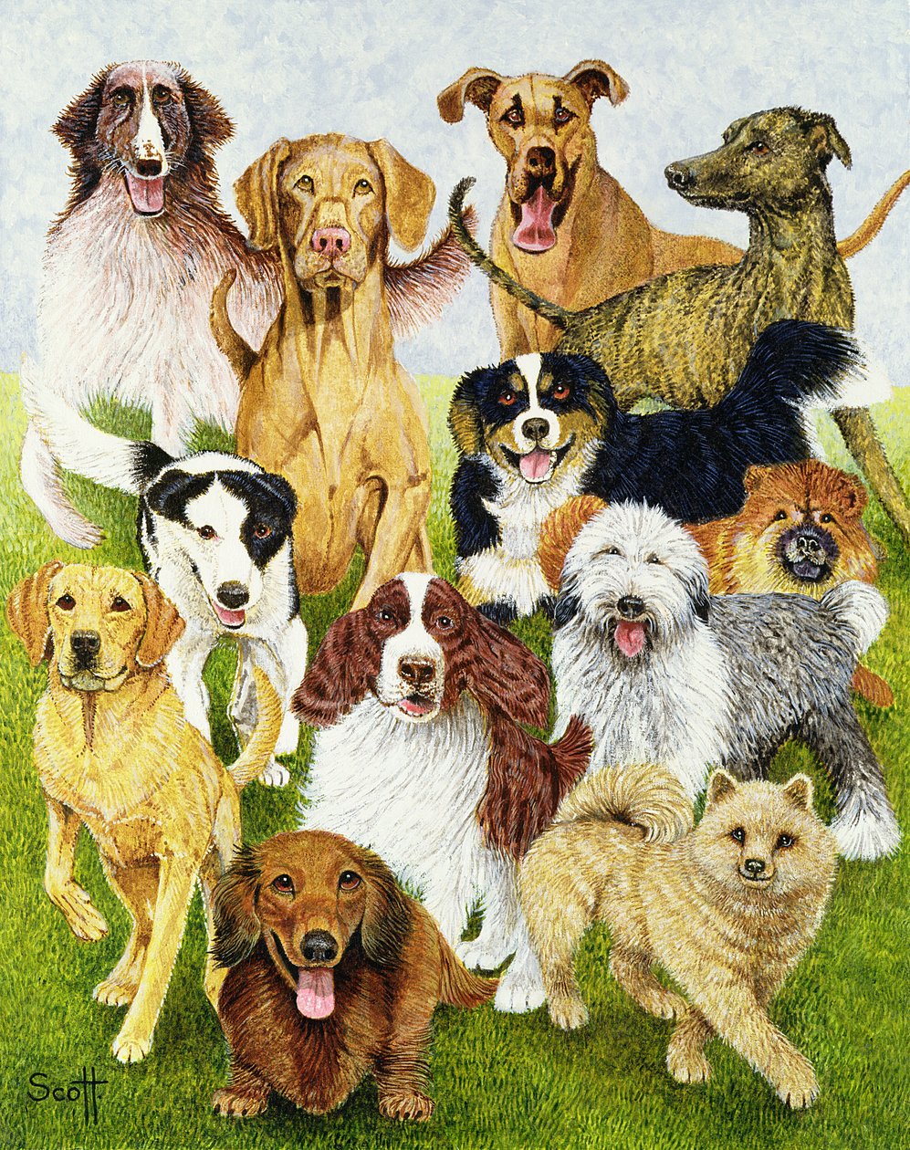 Dog Days by Pat Scott