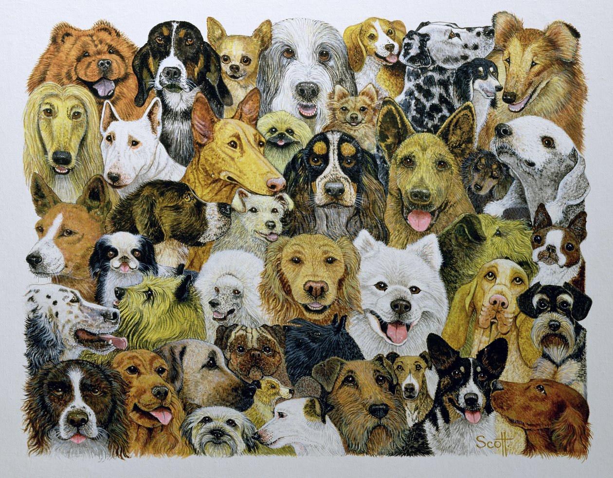 Dog Friends by Pat Scott
