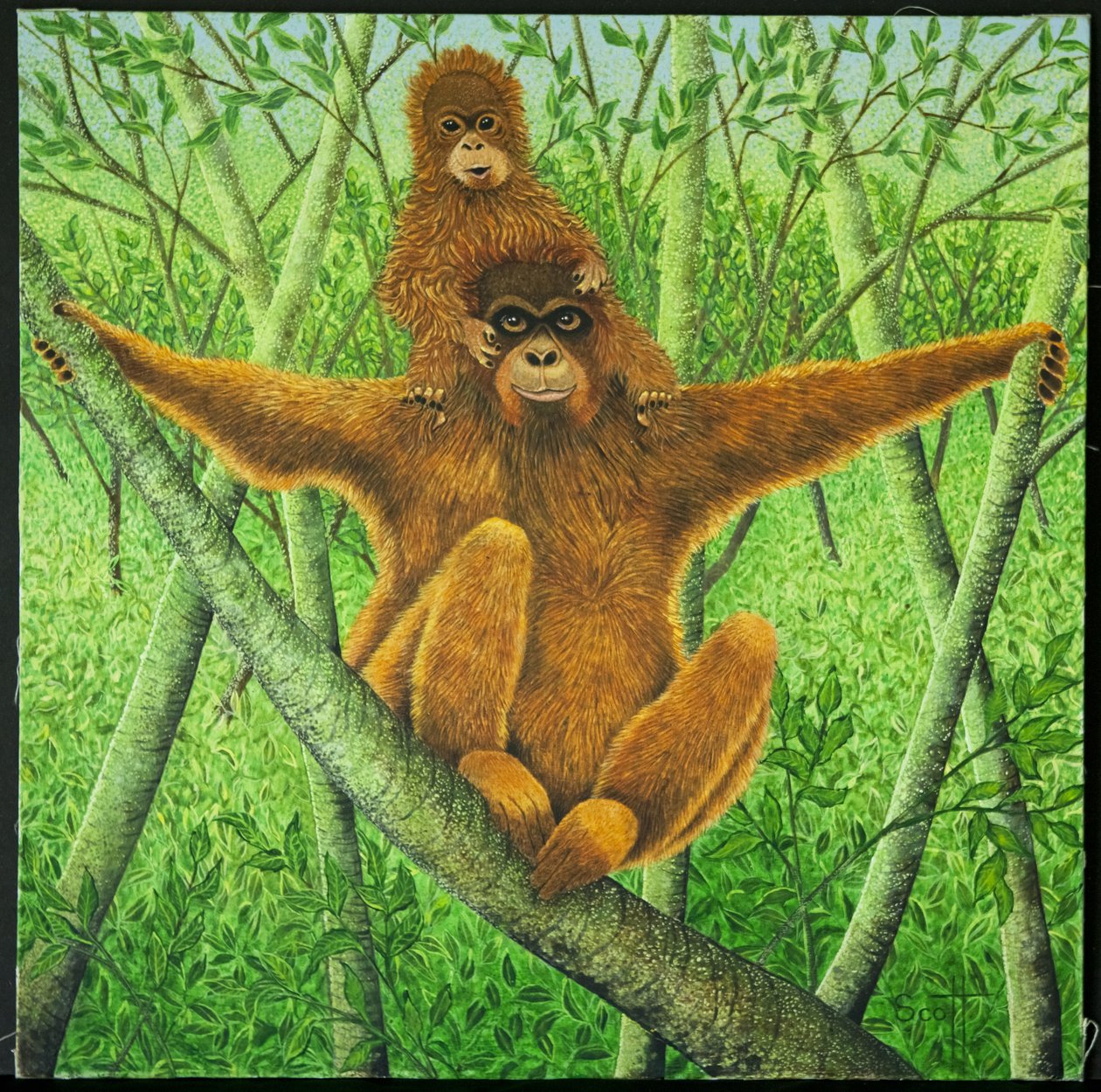 Hang On In There by Pat Scott