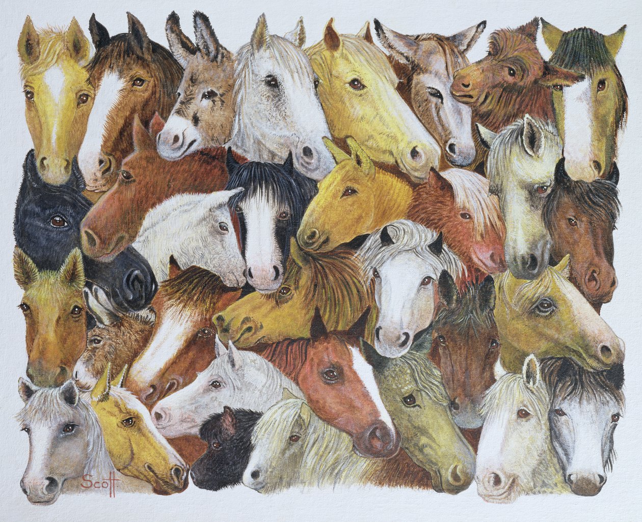 Horses Horses by Pat Scott