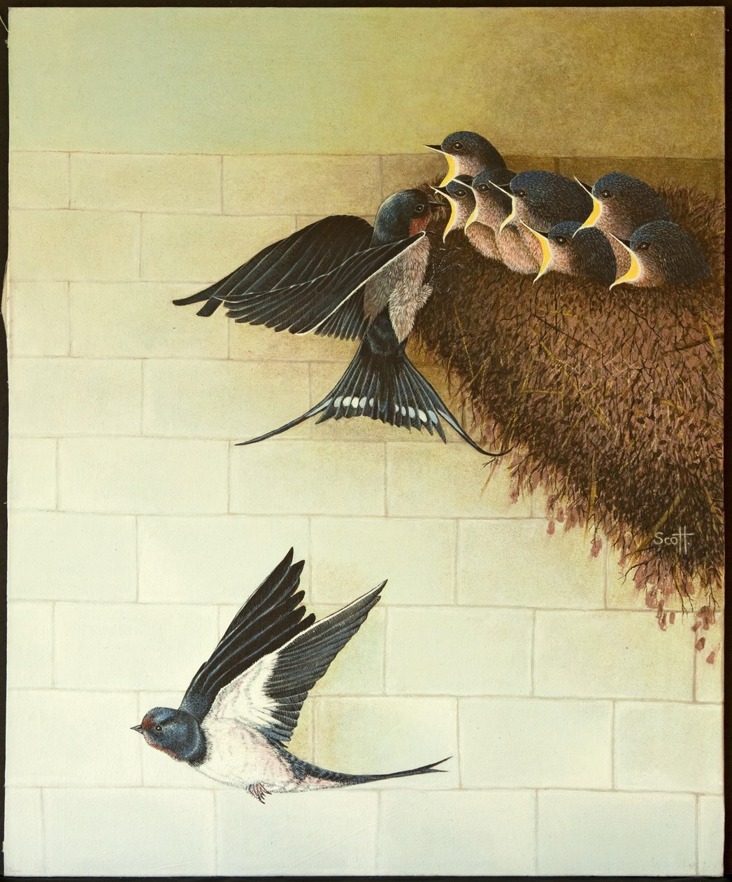 Hungry Mouths, 2011 by Pat Scott