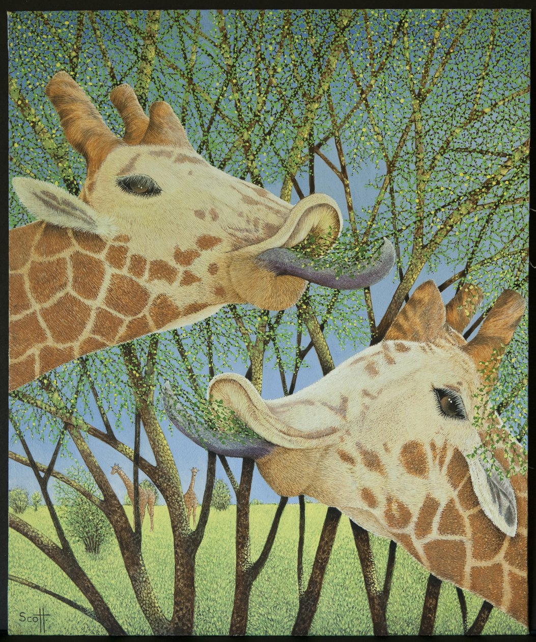 Life at the Top by Pat Scott