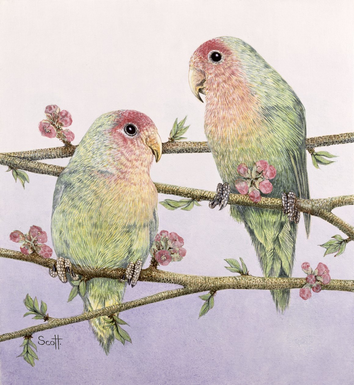Love Birds by Pat Scott