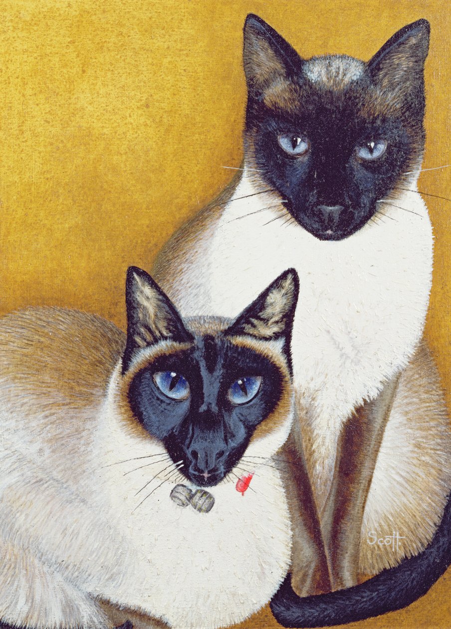 Mavis and Barnaby by Pat Scott