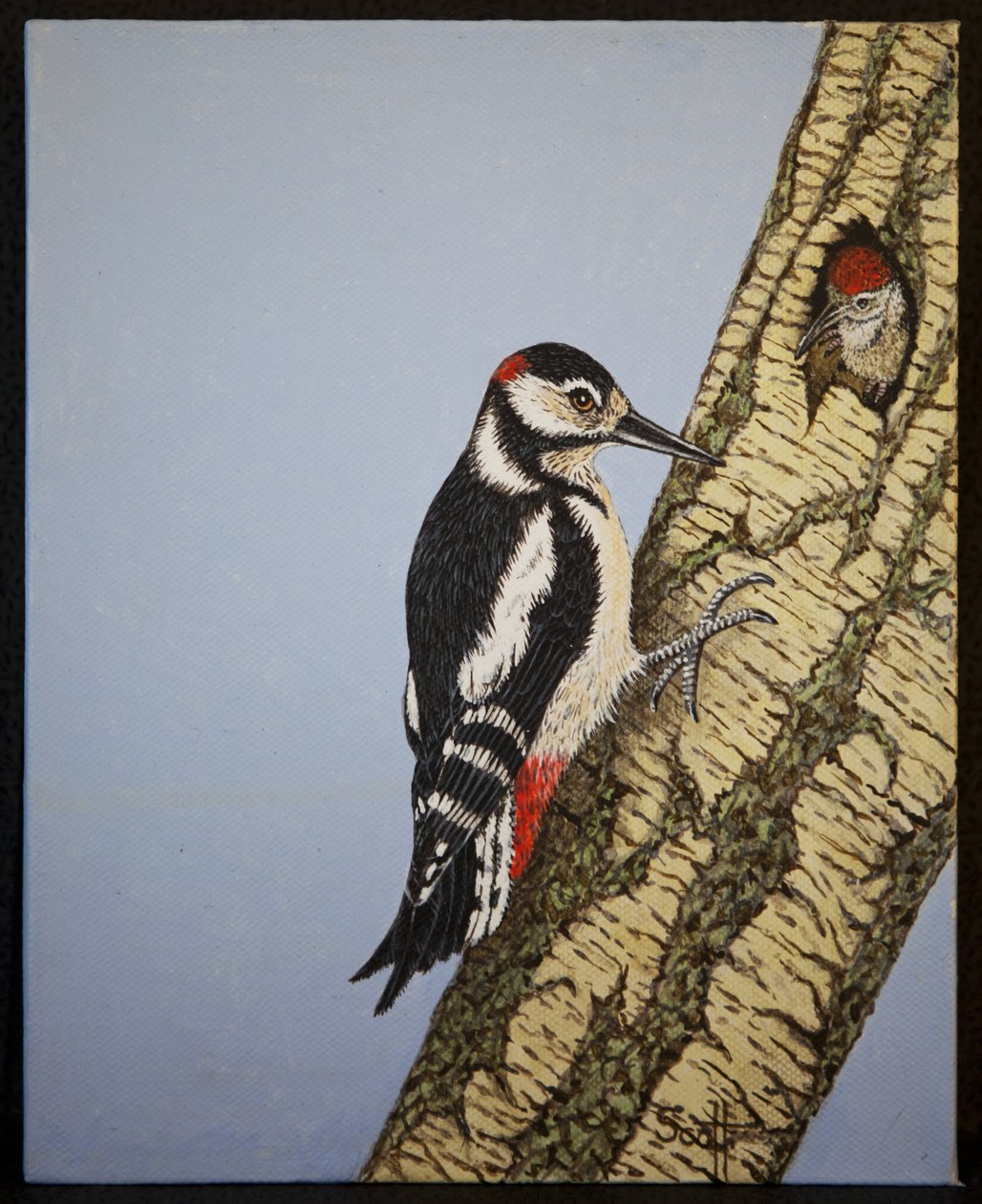 Red Headed Woodpecker, 2016 by Pat Scott