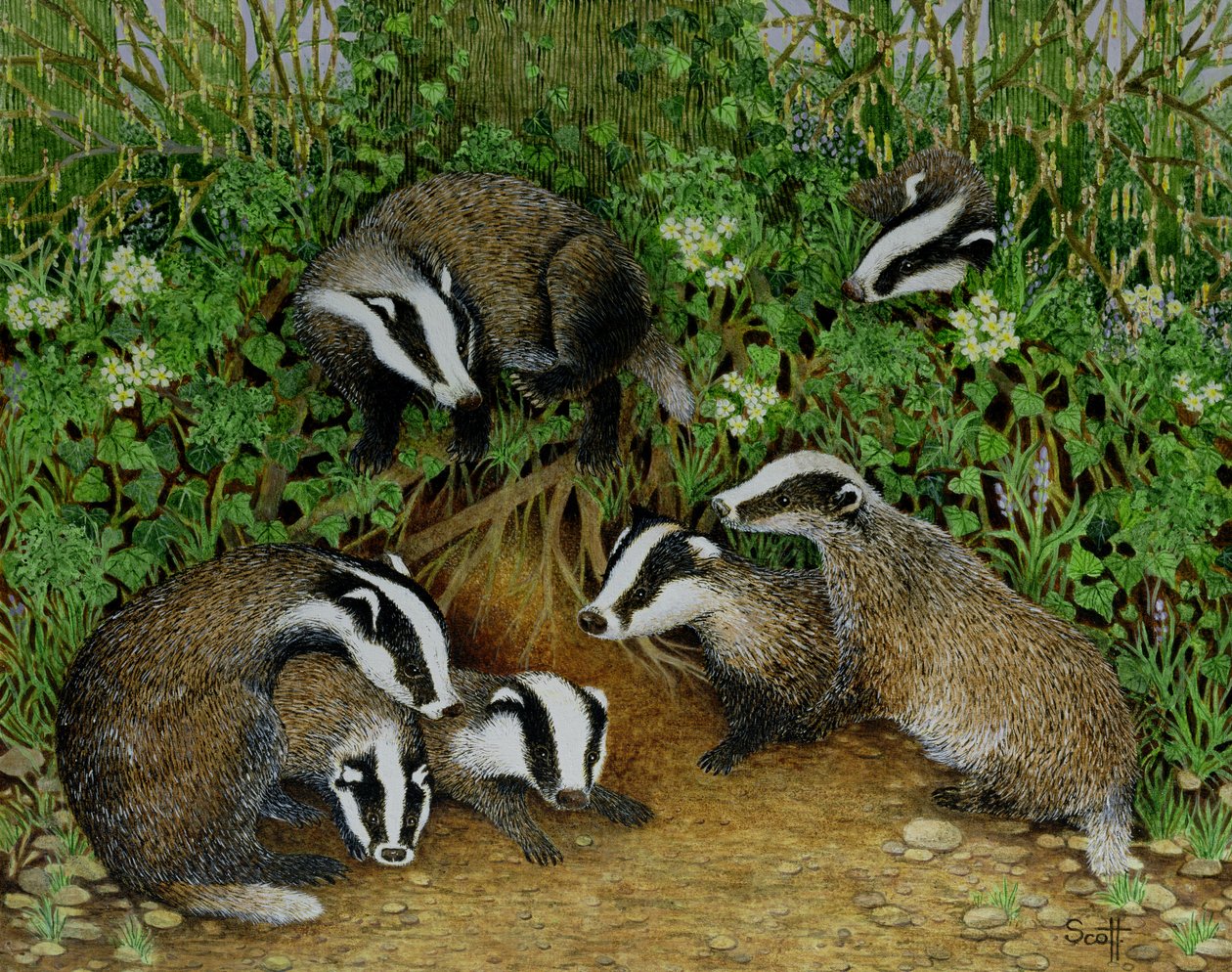 Setting Out by Pat Scott