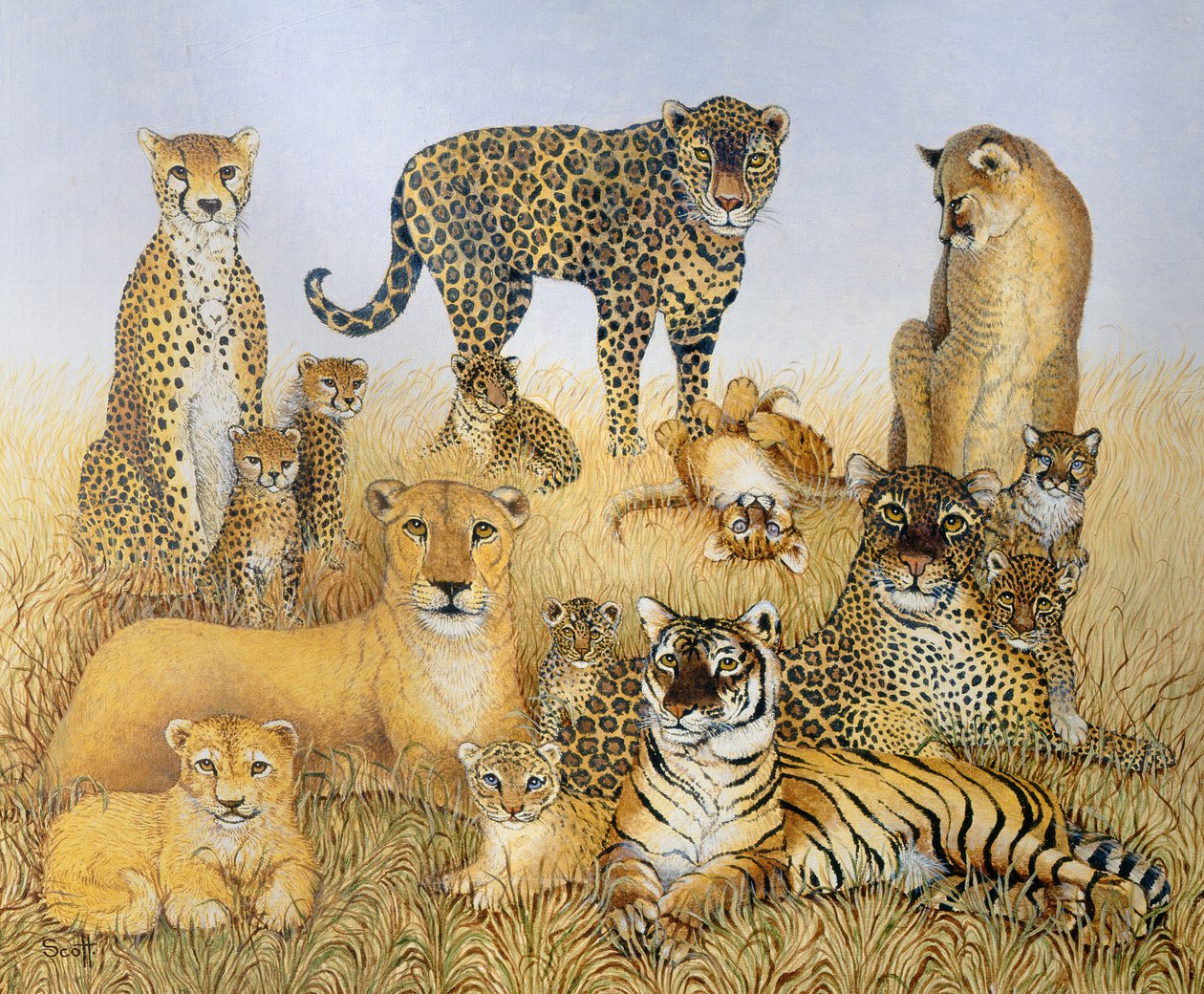 The Big Cats by Pat Scott