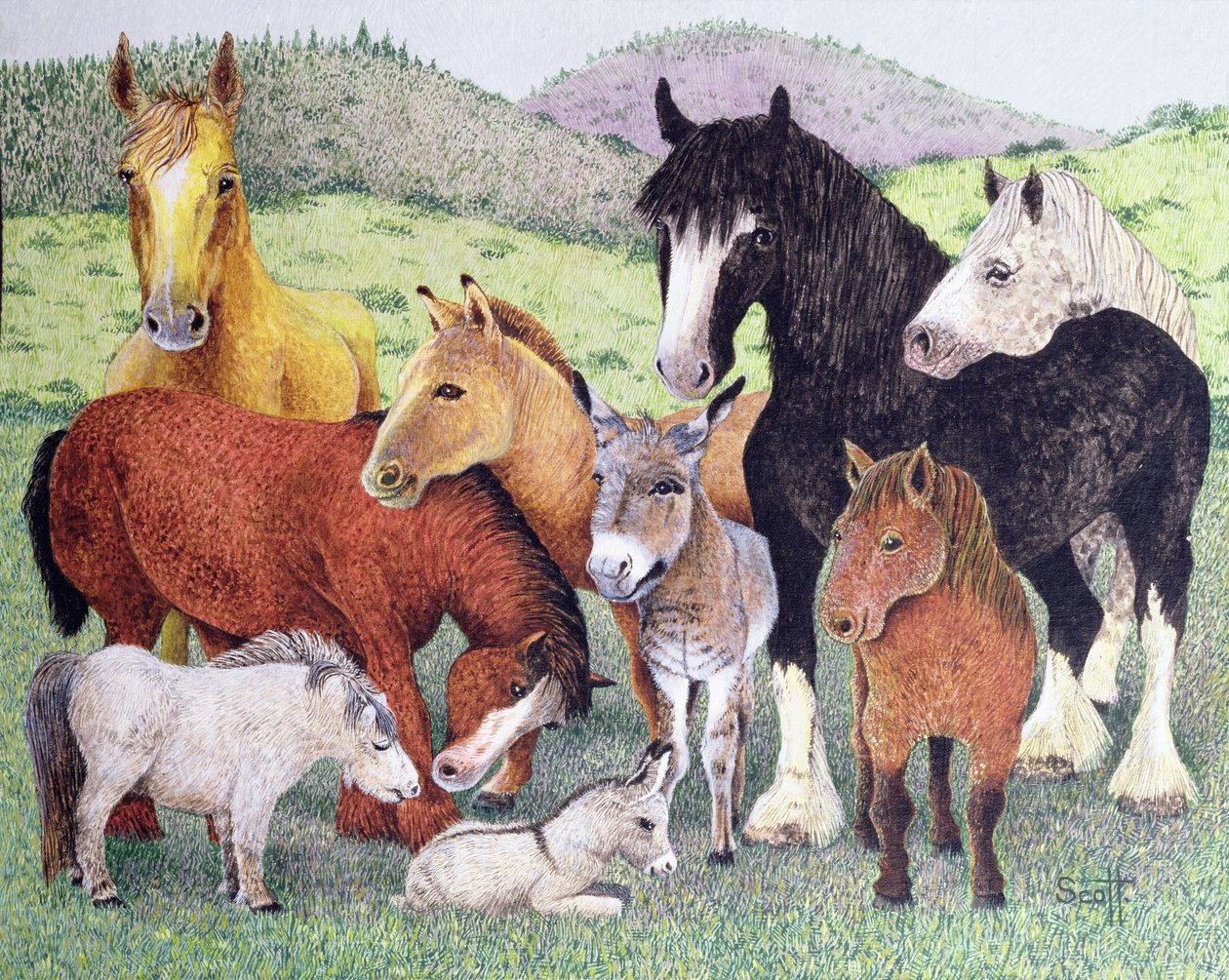 The New Arrival by Pat Scott