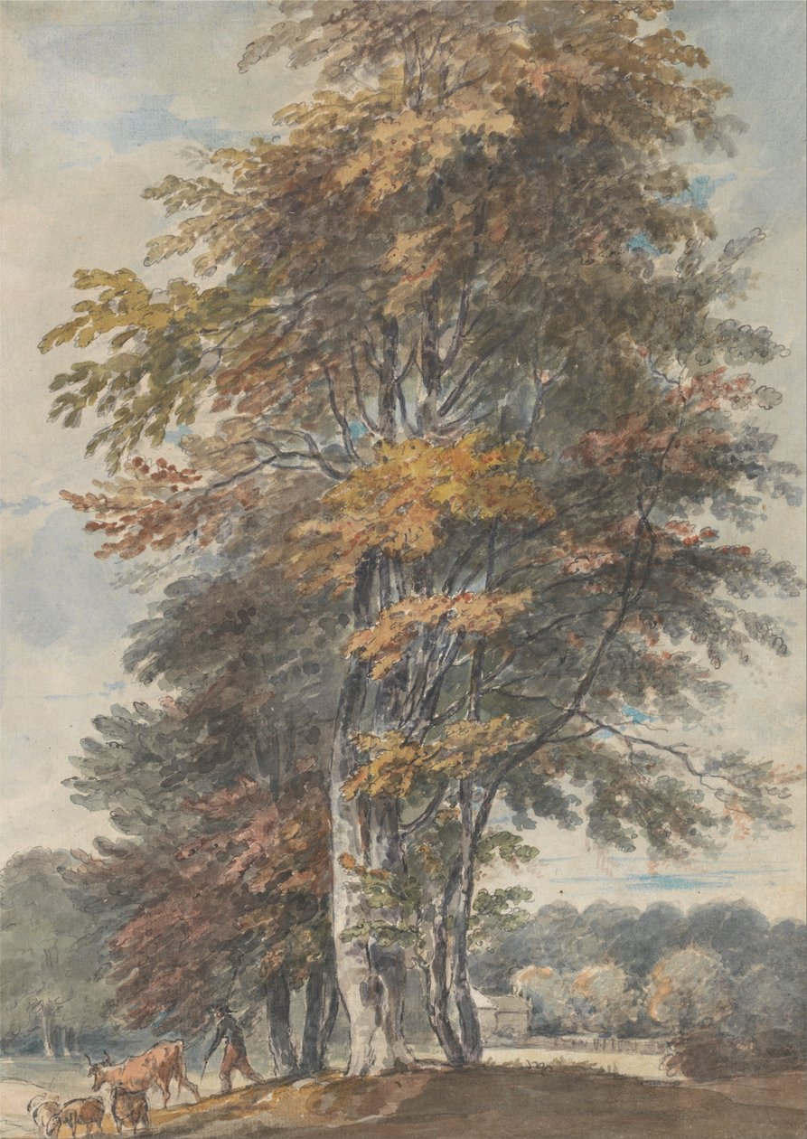 Landscape with Beech Trees and Man Driving Cattle and Sheep by Paul Sandby