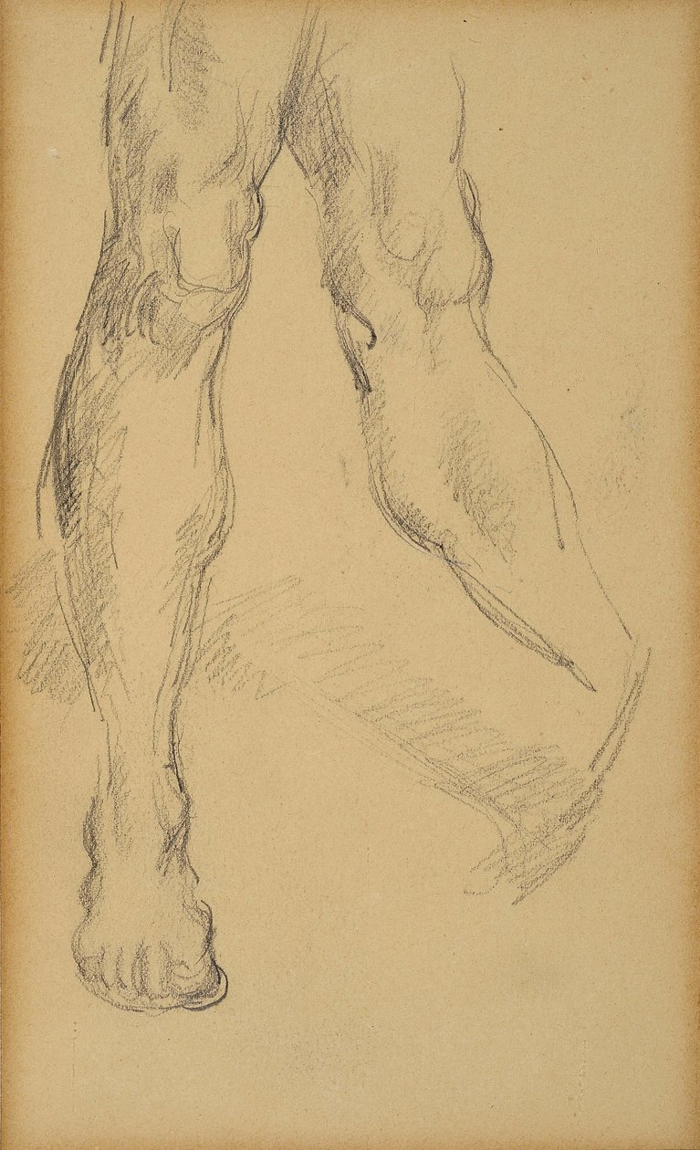 Legs study by Paul Cézanne