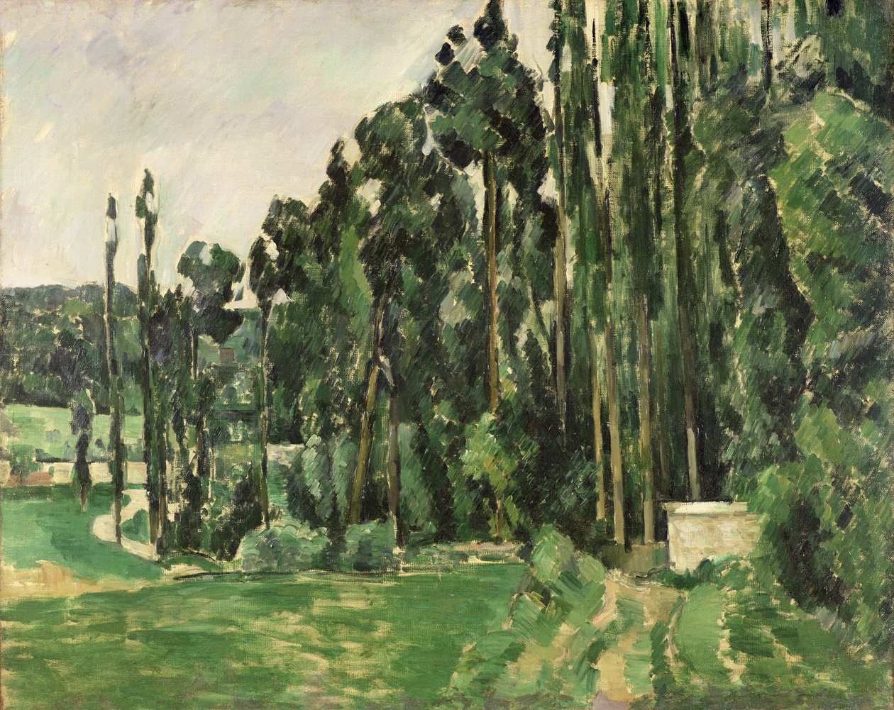 The Poplars, c.1879-82 by Paul Cézanne