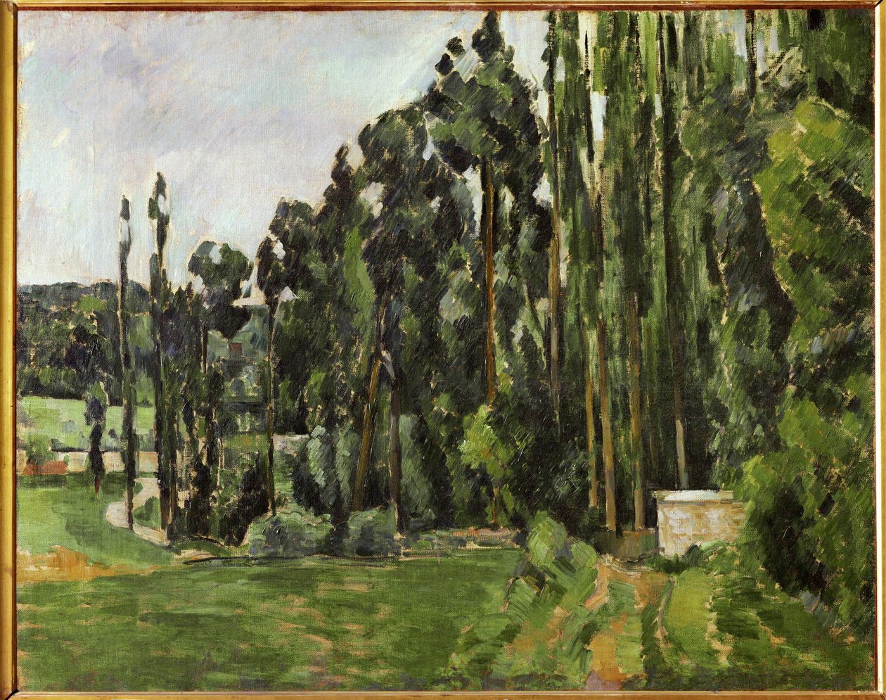 The Poplars by Paul Cezanne