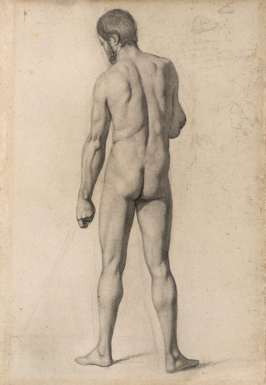 Academic Nude, Seen from the Back by Paul Cézanne