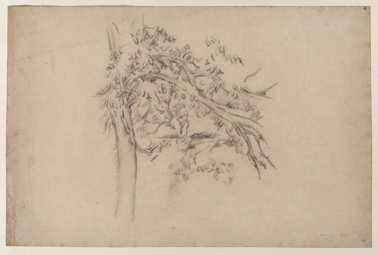 Study of a Tree (c.1885-87) by Paul Cézanne