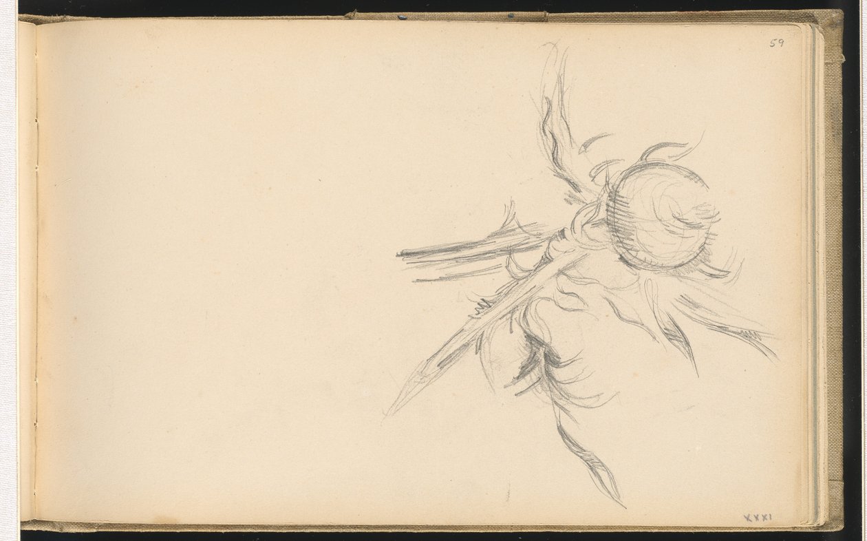 Thistle by Paul Cézanne