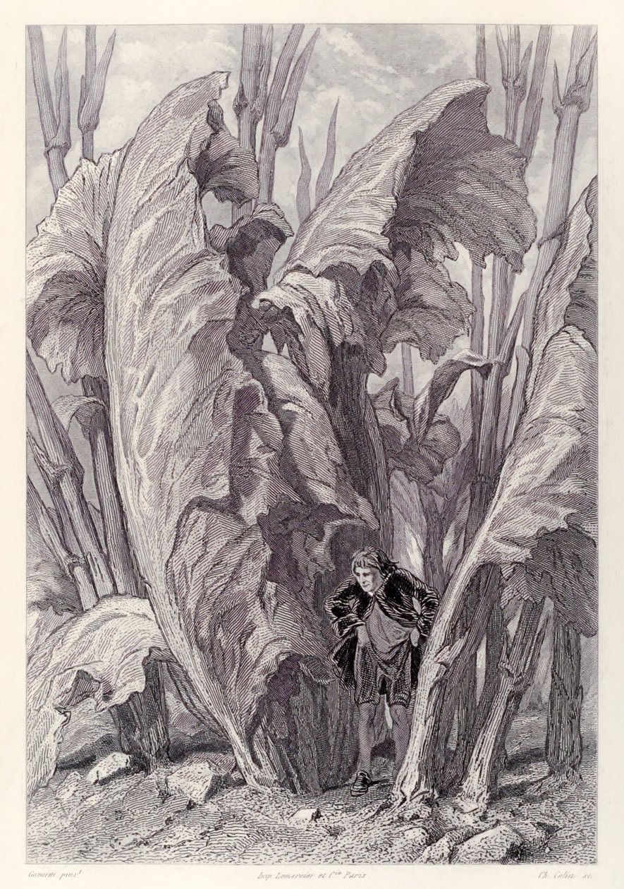 Gulliver Scavenges Food and Disappears Between Two Sorrel Leaves, from French Edition of Gulliver
