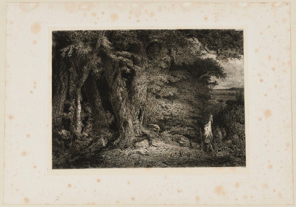 The Forest Entrance. Beraldi 74 by Paul Huet