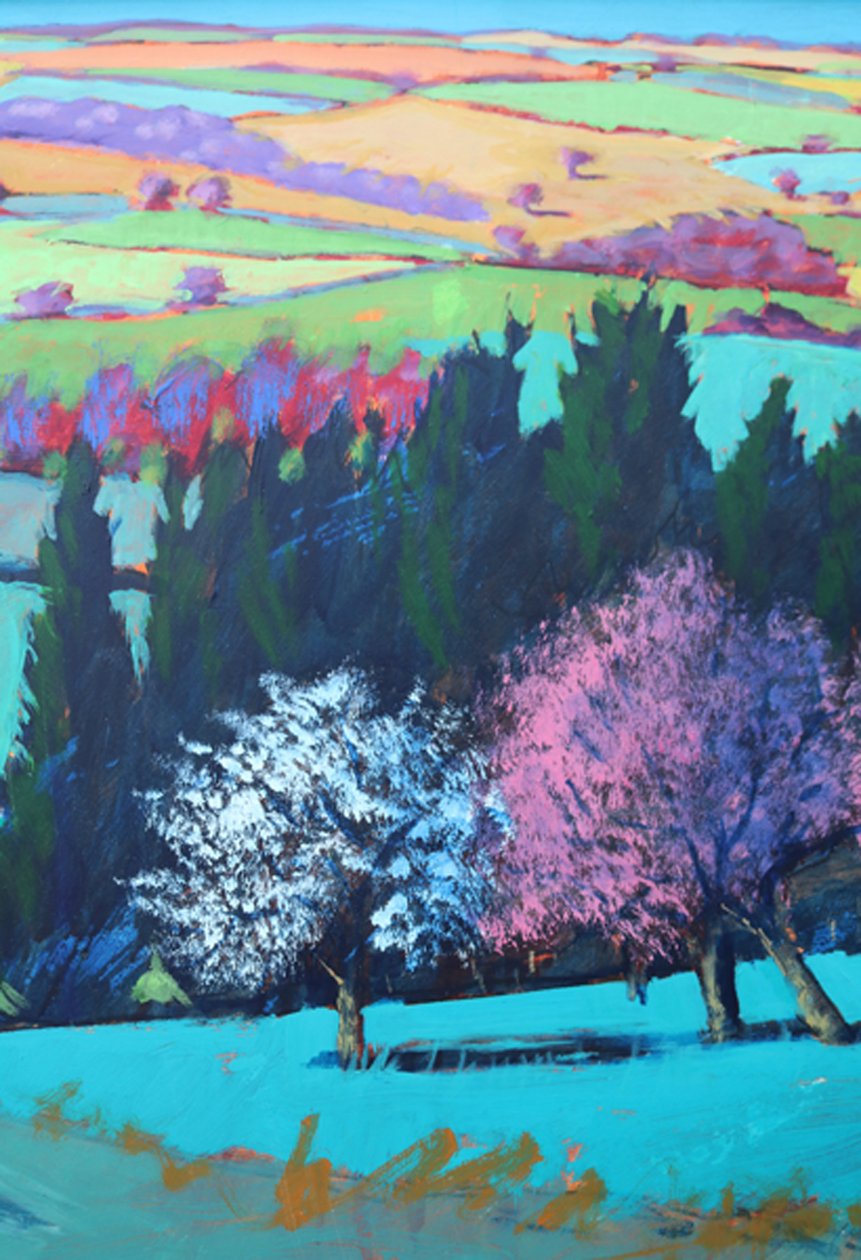 Teme Valley April (close up 1) by Paul Powis