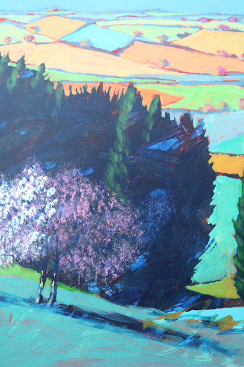 Teme Valley Blossom (close up 1) by Paul Powis