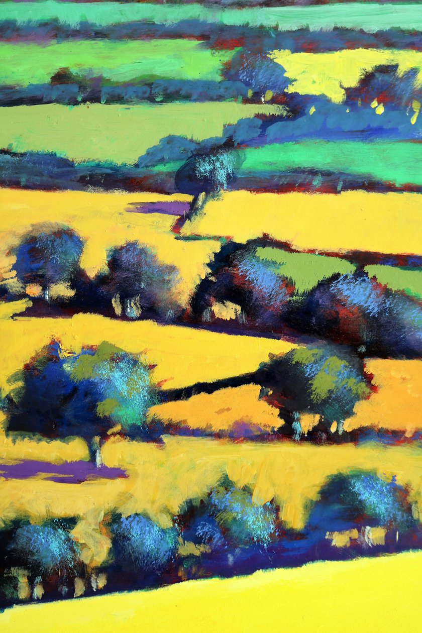 Whiteleaved Oak Close Up 6 by Paul Powis