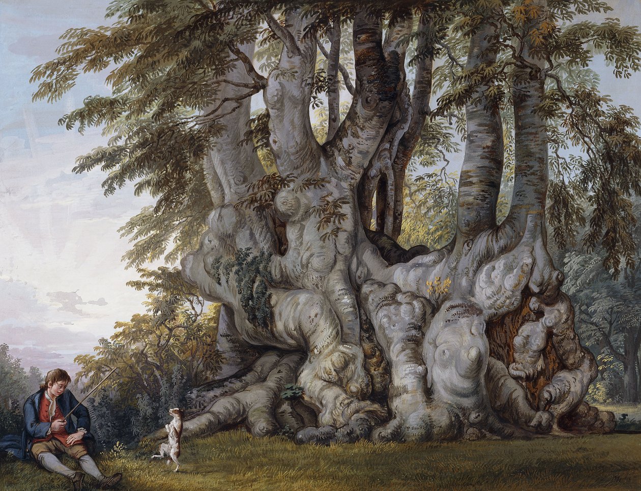 A Boy Making a Dog Dance by the Bole of an Ancient Gnarled Beech Tree by Paul Sandby