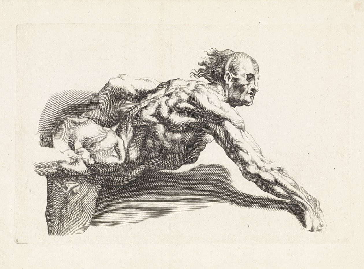Anatomical Study of a Man Leaning Forward by Paulus Pontius