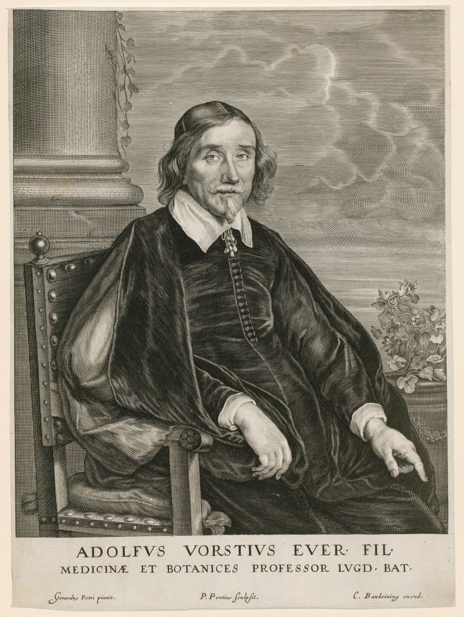 Portrait of Adolph Vorst, Professor in Leiden by Paulus Pontius