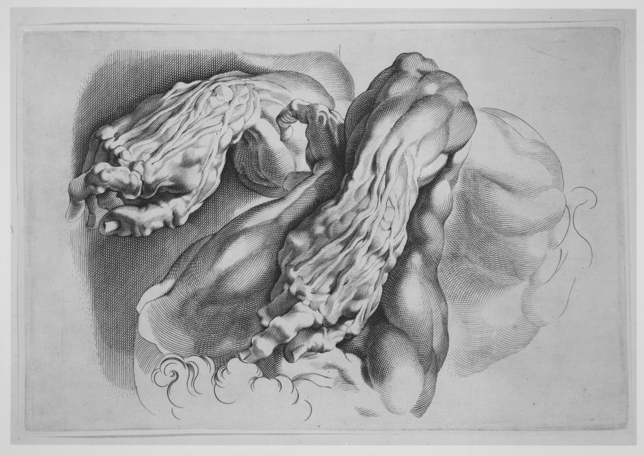 Three Studies of Écorchés, after 1640 by Paulus Pontius