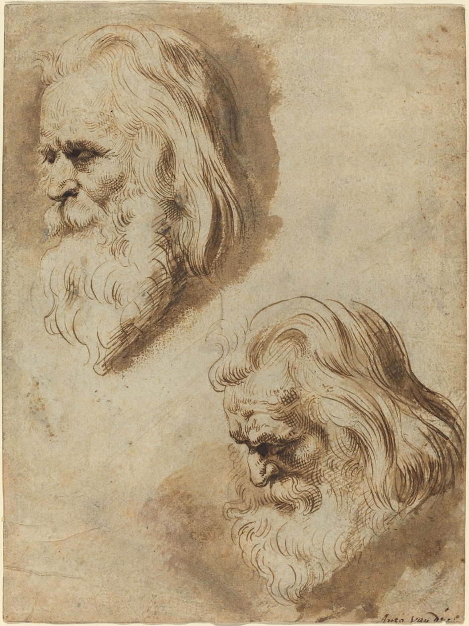 Two Studies of an Elderly Man