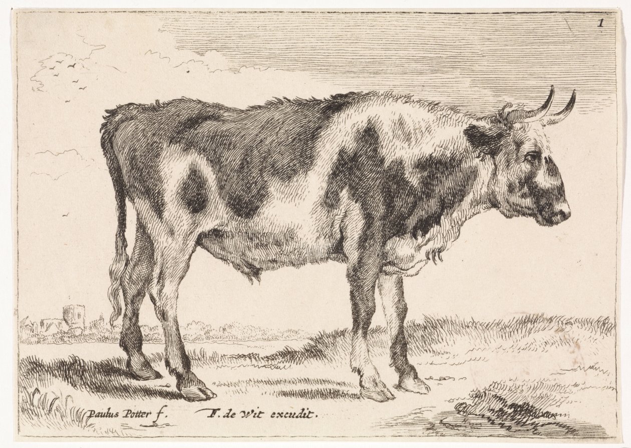 Spotted Ox (series title: Oxen and Cows) by Paulus Potter (rejected attribution)