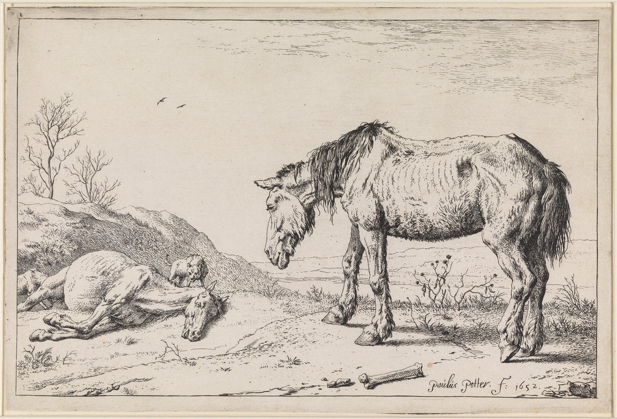 Worn-out Horses by Paulus Potter