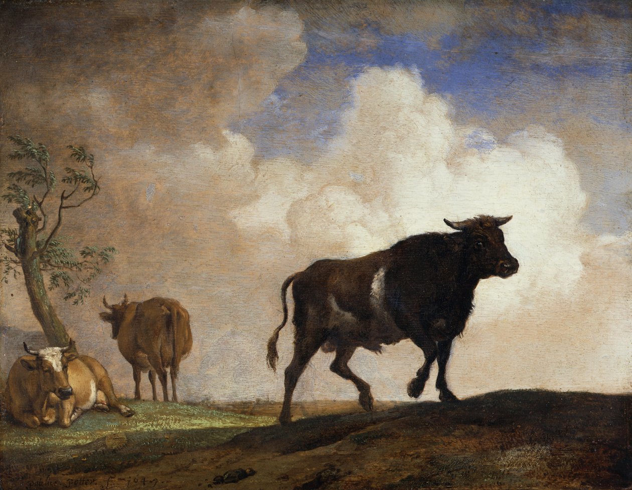 The Bull by Paulus Potter