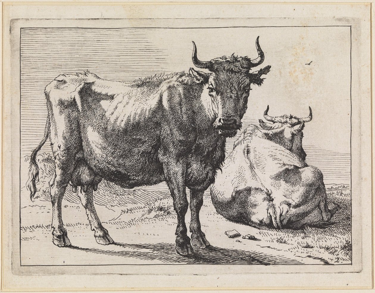 A Standing and a Lying Cow by Paulus Potter