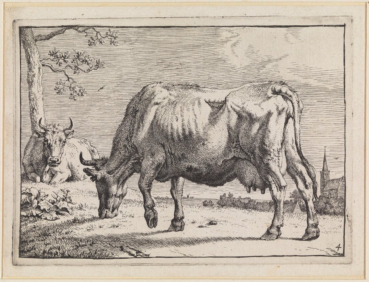 Grazing Cow by Paulus Potter