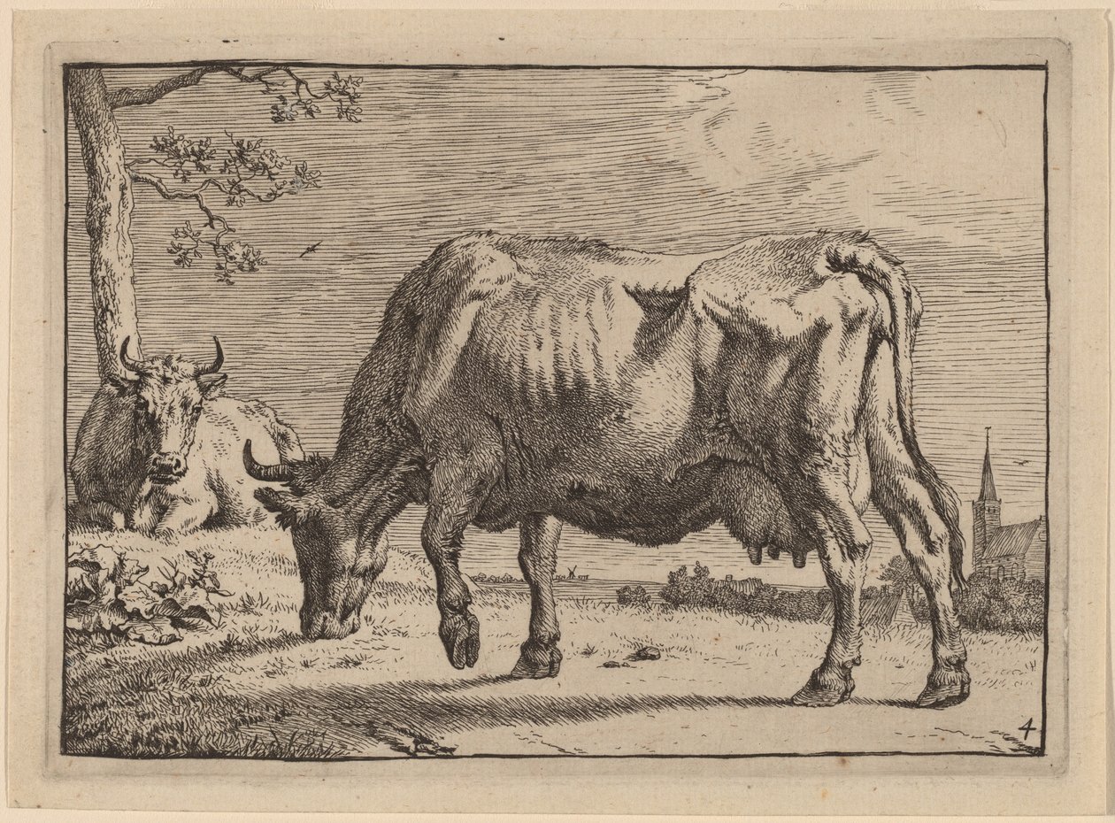 Grazing Cow by Paulus Potter