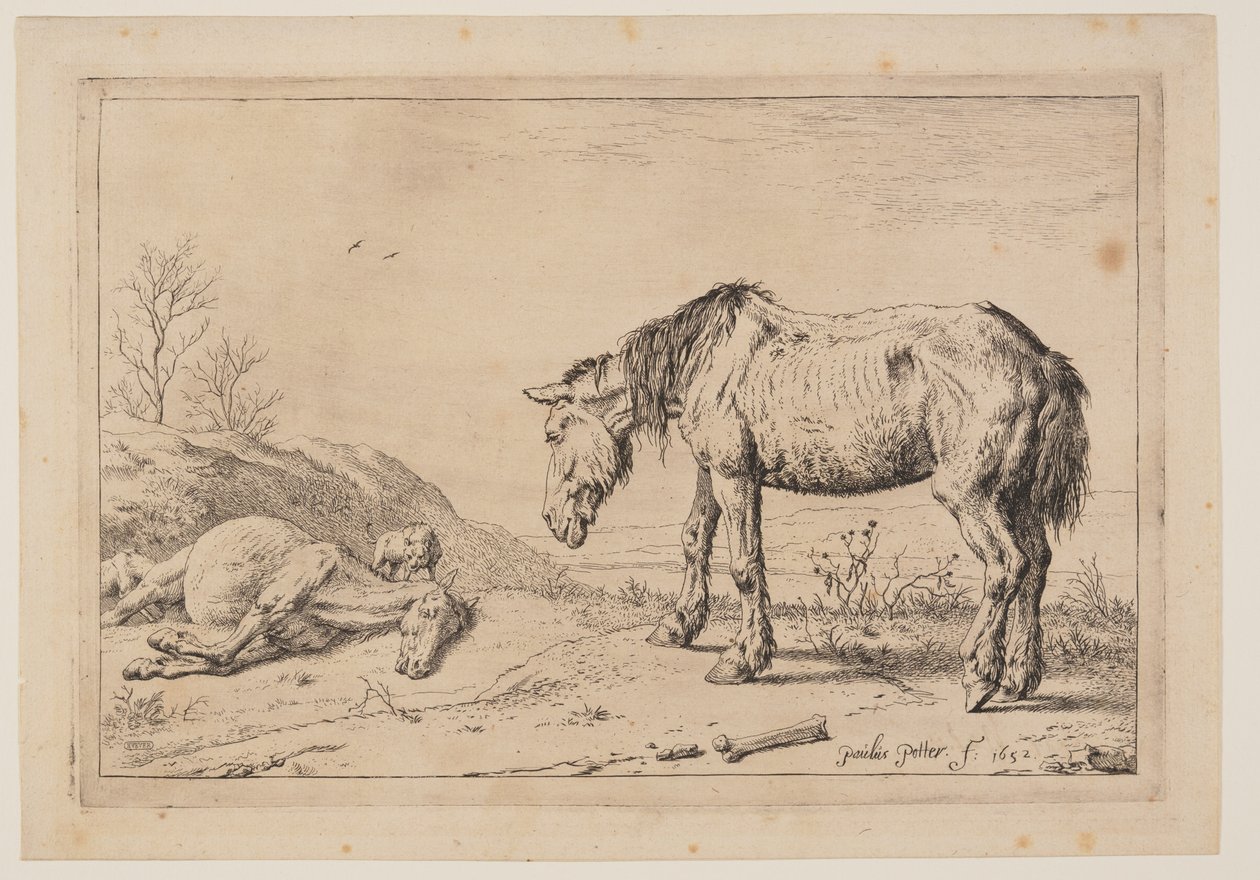 The Worn-Out Horse, from Series of Horses by Paulus Potter