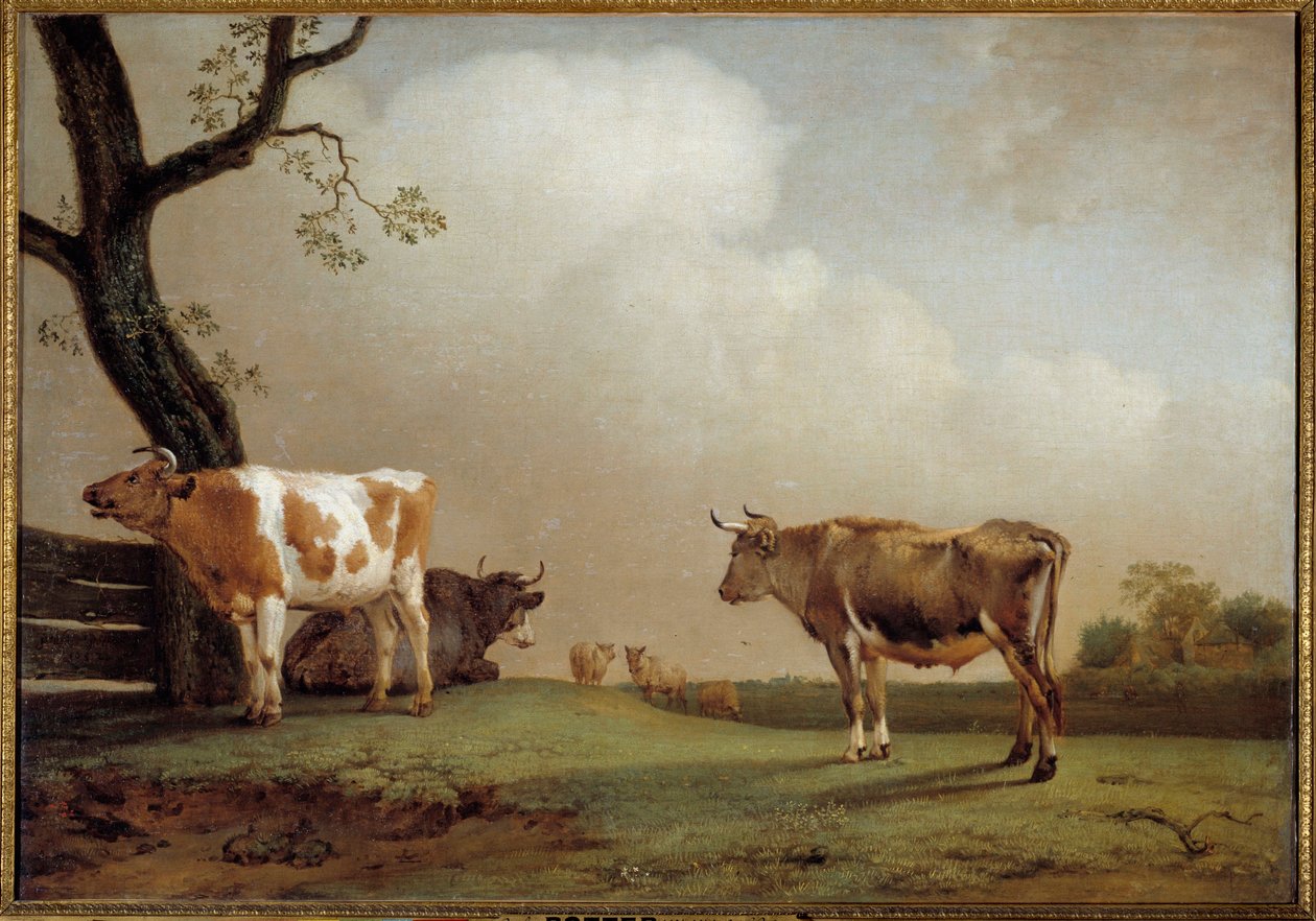 The Meadow by Paulus Potter