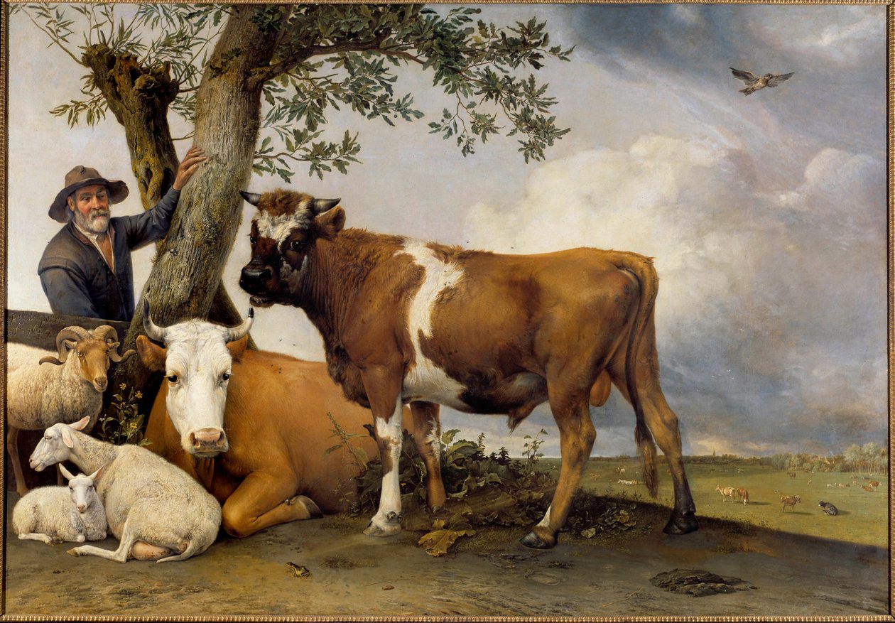 The young bull by Paulus Potter