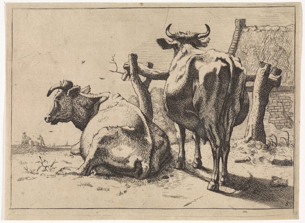 Two Cows Seen from Behind (Het Bullenboekje) by Paulus Potter