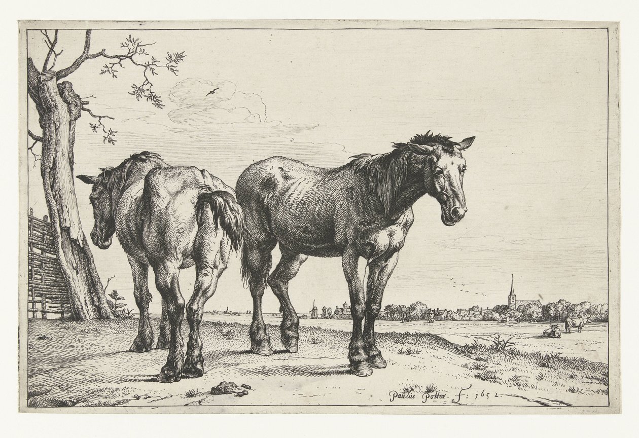 Two Plow Horses by Paulus Potter
