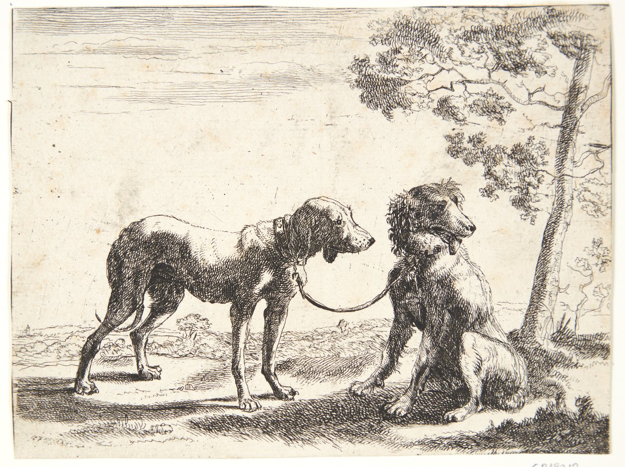 Two Dogs Tied Together by Paulus van Hillegaert (II)
