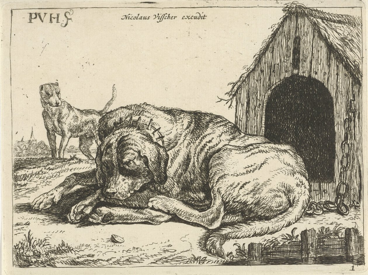 Lying Dog on a Chain (Various Dogs series) by Pauwels van Hillegaert