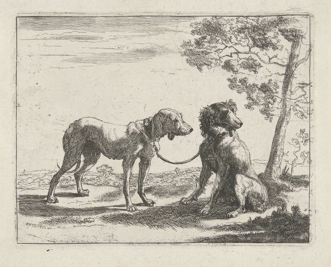 Two Dogs (series: Dogs) by Pauwels van Hillegaert