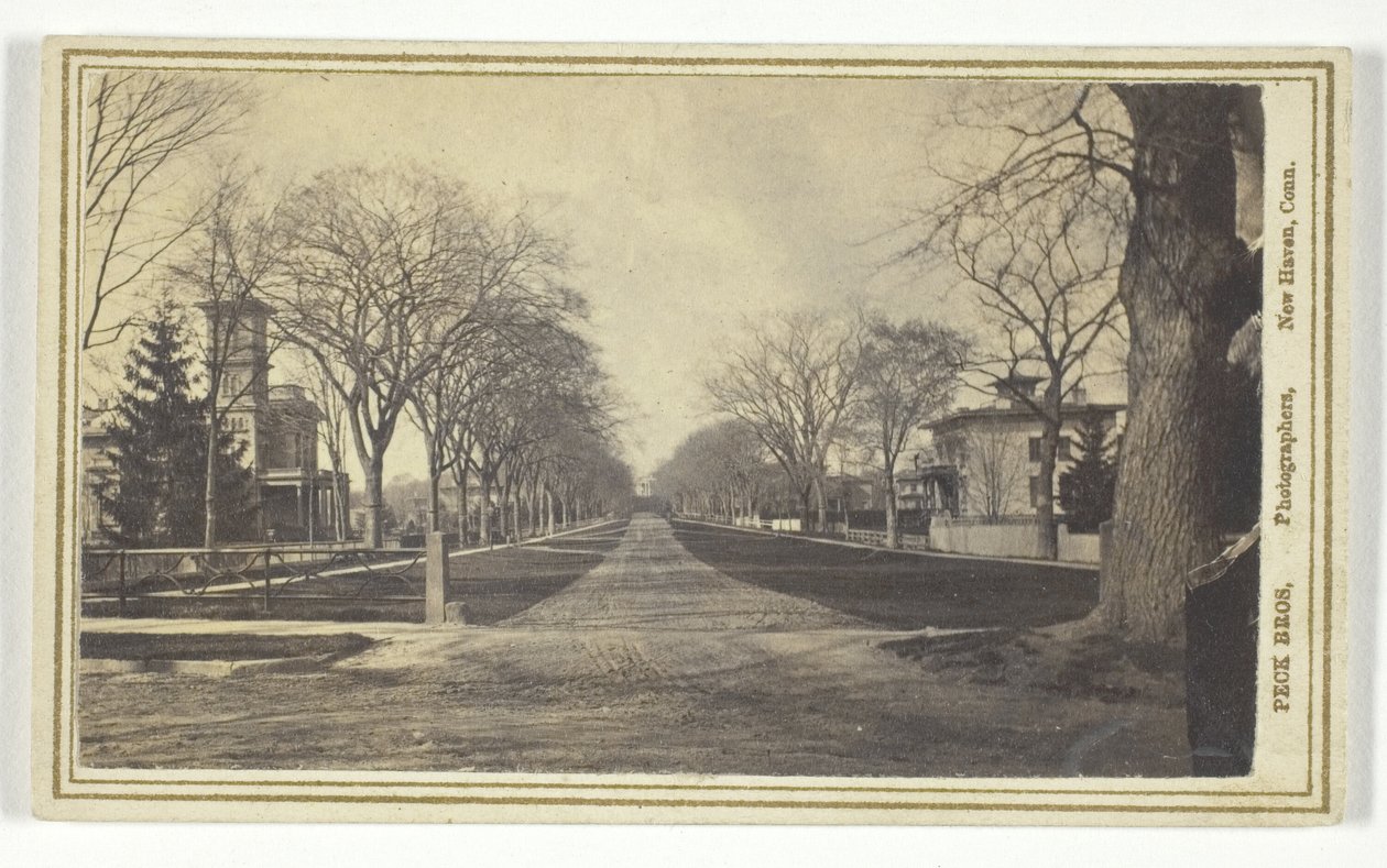 Hillhouse Avenue by Peck Brothers