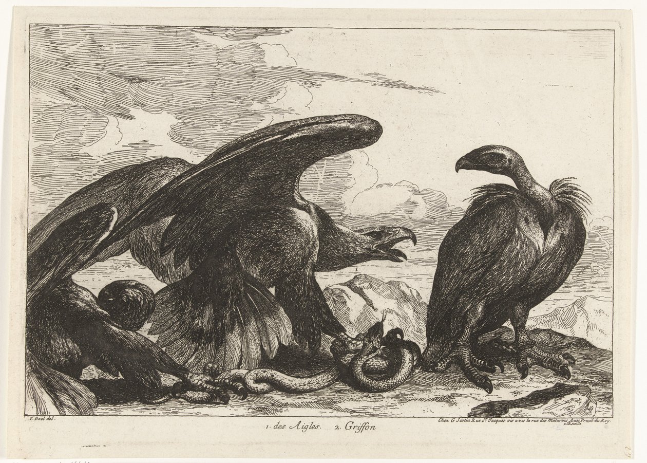 Vulture and an Eagle with a Snake (Birds from the Menagerie of Versailles) by Peeter Boel (attributed to)