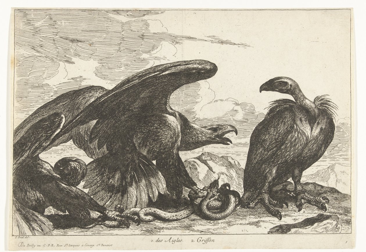 Vulture and an Eagle with a Snake (Birds from the Menagerie of Versailles) by Peeter Boel (attributed to)