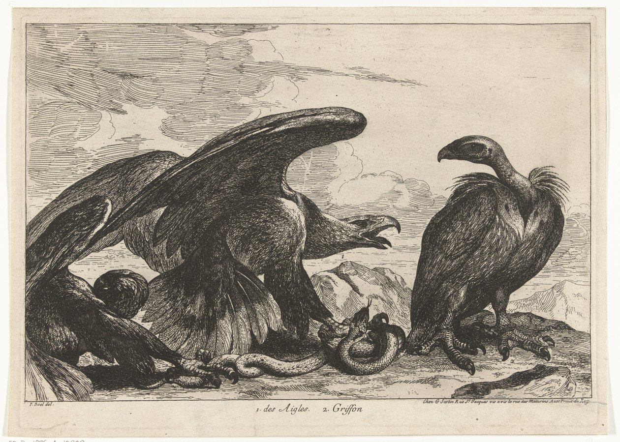 Vulture and an Eagle with Snake by Peeter Boel (attributed to)