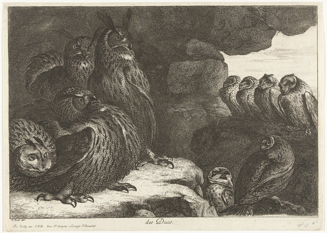 Owls in a Cave by Peeter Boel (attributed to)